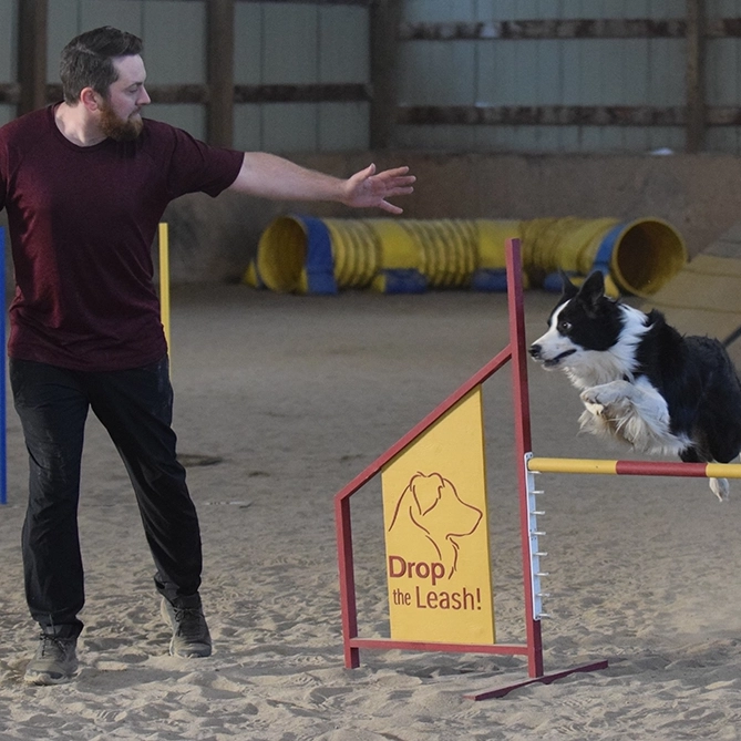 Markham Dog Trainer Jesse Seguin